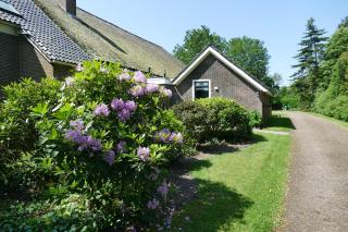 Vakantiewoning 't Stookhok Gasselte - 8