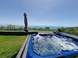 Typical Canarian House private jacuzzi, sauna, gym, Finca Conejo Taucho Adeje by Aqua Vista Tenerife - 3