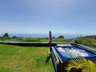 Typical Canarian House private jacuzzi, sauna, gym, Finca Conejo Taucho Adeje by Aqua Vista Tenerife - 1