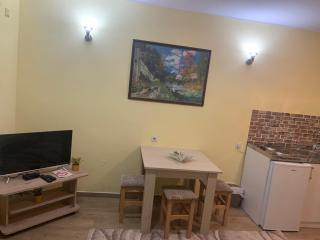 Garsonjera Dunja - Novi Sad - 7