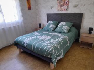 Villa Amazone - Onzain - 7