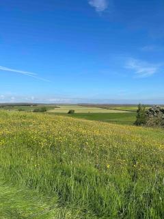 Springhill Studio, Brimham Rocks Yorkshire Dales - Grantley - 5