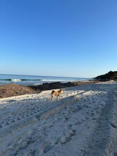 Plage des Salins Parc des Salins St Tropez - Saint-Tropez - 0