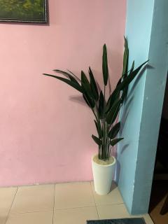 Zurie Muslim Homestay - Brinchang - 8
