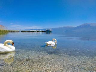 ERSI Apartaments - Pogradec - 0
