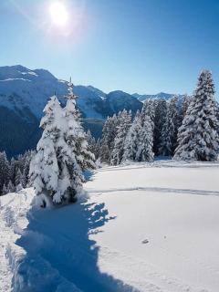 Andermatt Chalet Guetsch - Andermatt - 7