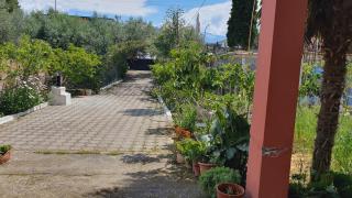 Guest house Sherifi - 2