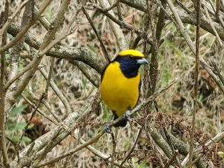 Monteverde House - 2