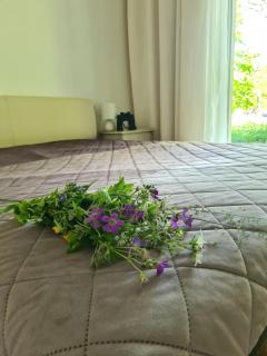 Żurawie gniazdo, elegancki zakątek w Puszczy Białowieskiej - Hajnówka - 8