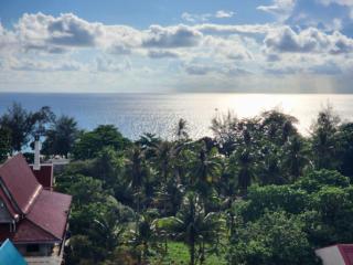 Andaman sea view private - Patong Beach - 3