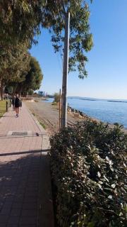Tourist Hot Spot Location - Limassol - 4