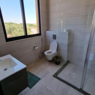 Spacious 8-BR Farmhouse with Pool in Amman, Jordan - Amman - 9