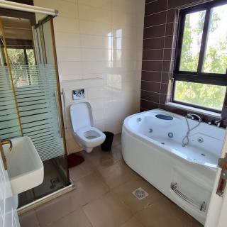 Spacious 8-BR Farmhouse with Pool in Amman, Jordan - Amman - 8