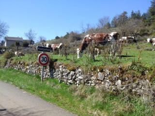 La parenthèse à la campagne - La Canourgue - 1