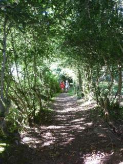Gîtes et yourte le Tucaou avec bains nordiques - 5