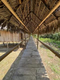 Macaw Adventures Lodge - Puerto Franco - 4
