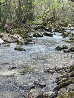 Gîte dans les Cévennes - 8