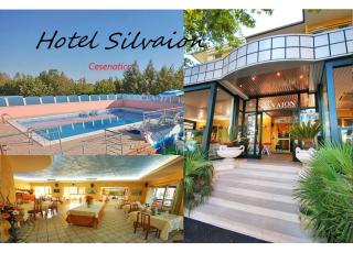 Hotel Silvaion - Cesenatico - 9