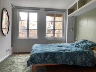 Appartement plein centre avec vue exceptionnelle cathédrale - Strasburgo - 4