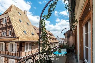 Appartement plein centre avec vue exceptionnelle cathédrale - Strasburgo - 7