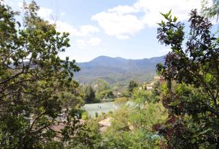 14447 Trois pièces avec piscine dans une résidence de standing - 5