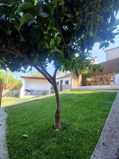 As Casinhas de Santo Ovidio - Fafe - 1