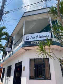 HOTEL LAS PALMAS - La Virginia - 9