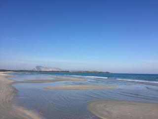 HOTEL Al FARO , SPIAGGIA LA CINTA ,SAN TEODORO - San Teodoro - 2