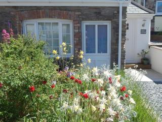 Rose's Cottage - 0
