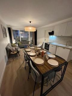 Grand appartement lumineux au cœur de Thonon - Thonon-les-Bains - 7