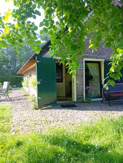 Onder de Linde, Rust, Natuur en Privacy - Benneveld - 9