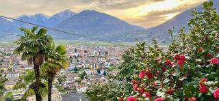 B&B Villa Moro - Family House - Domodossola - 7