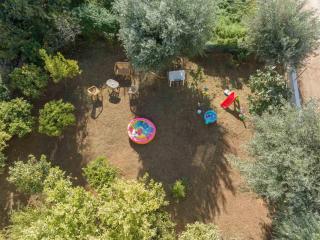 Anastasia's lemon garden - Artemida - 6