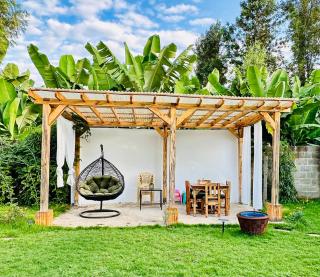 Golden hour tiny house - 4