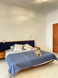 Regenerate2health House - Joanesburgo - 6