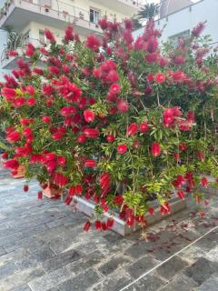 NORA House - 4
