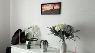 Room In Appartment - Potsdam - 5