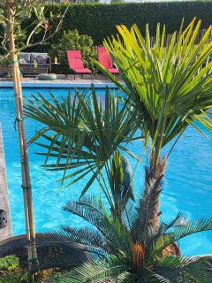 La Parenthèse Étoilée ☆ - 6