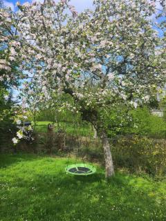 La Parenthèse Étoilée ☆ - 9