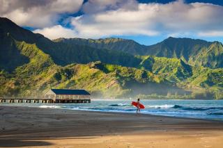 Luxury Princeville Retreat - Sleeps 16 Views, Golf & More - Princeville - 7
