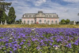 Gemütliche Ferienwohnung nähe Schloss Benrath & Rhein Düsseldorf Urdenbach - Düsseldorf - 0