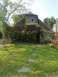 Sweet Melody Tree House - 6