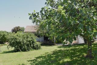 Vacation home Pula - Pula - 4