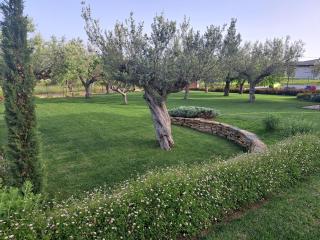 Tenuta Porello - Rocca San Giovanni - 8