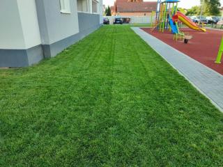 FLH - Modern 3 APT Near Old Town - 15 Min Walk - Sibiu - 8