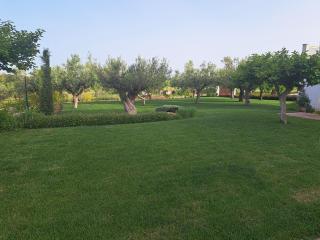 Tenuta Porello - Rocca San Giovanni - 9
