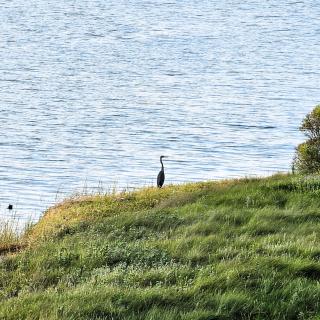 Entire Lower Floor! - 4