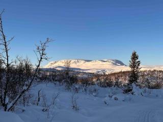 Geilo Kikut - Ski-in Ski-out - 1