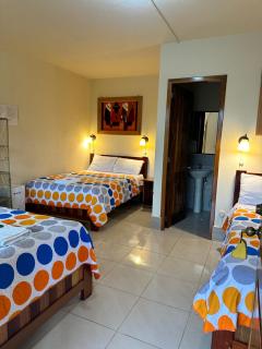 La Casa de Cecilia Mindo - Mindo - 2
