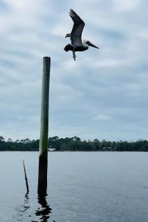 Navarre Bayhouse Retreat - 8